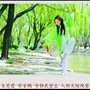 河洛太极ico
