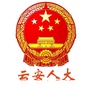 云安人大ico