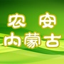 农安内蒙古ico
