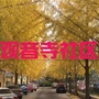 观音寺街道观音寺社区ico