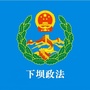 中共下坝镇委政法委ico