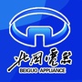 河北北国电器ico