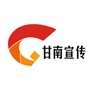 甘南宣传ico