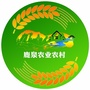 鹿泉三农ico
