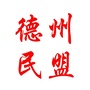 德州民盟ico