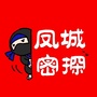 凤城密探ico