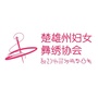 楚雄彝绣ico