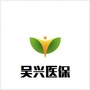 吴兴医保ico