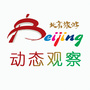 北京旅游动态观察ico