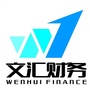 六安文汇财务咨询公司ico