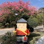 均禾街石马经济联合社ico