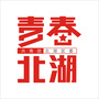 青春北湖ico