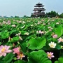 覃塘普法ico