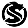 跃龙模型ico
