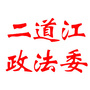 二道江政法委ico