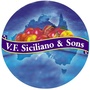 VFS 味富世公众号ico