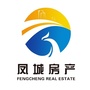 凤城房产ico