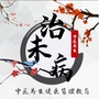 中医养生健康管理教育ico