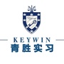 青胜实习ico