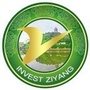 投资资阳ico
