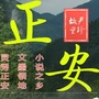 贵州正安经济开发区ico