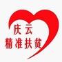 庆云精准扶贫ico