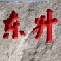 美丽东升ico