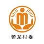 周嘉骑龙阳光村务ico