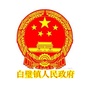 魅力白璧ico
