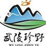 hh武陵珍野ico