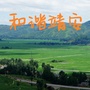 靖安之窗ico
