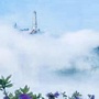 舟山市观音山广济禅寺公众号ico