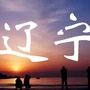 辽宁精选生活ico
