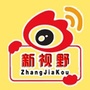 张家口新视野ico