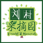 刘村采摘园ico