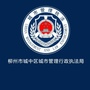 柳州城中区执法局ico
