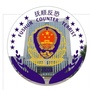 抚顺反恐ico