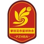 攀枝花市篮球协会公众号ico