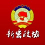 新密政协ico
