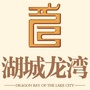 湖城龙湾ico