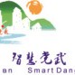 美丽贵安智慧党武ico