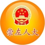 崇左人大ico
