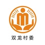 杠家双龙阳光村务ico