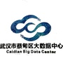蔡甸大数据ico