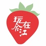 玩在合江ico