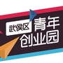 青创武侯ico