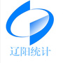 辽阳统计ico