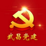 武昌党建ico
