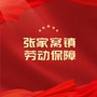 张家窝镇劳动保障公众号ico