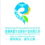 西藏鹏矗文化旅游产业集团公众号ico